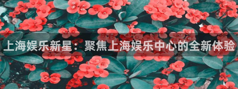 富联娱乐