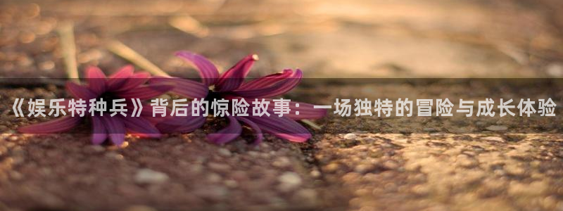 富联娱乐