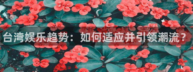 富联娱乐